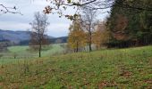 Tour Wandern La Roche-en-Ardenne - rando samrée 13/11/2020 - Photo 10