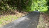 Trail Walking Sainte-Anne - Liard saint Robert  - Photo 2