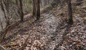 Tour Wandern Courgoul - 9568344-Gorges de Courgoul et le sentier du loup - Photo 1