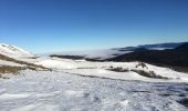 Trail Snowshoes Bouvante - Fond d’Urle  - Photo 3