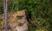 Trail On foot Dahn - Wolfs-Tour - Photo 3
