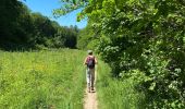 Trail Walking Rochefort - Wavrielle  12-06-20 - Photo 16