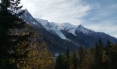 Trail Walking Chamonix-Mont-Blanc - CHAMONIX ... Chalet de Floria.  - Photo 2