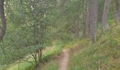 Trail Walking Réallon - Boucle 