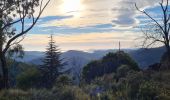 Trail Walking Saint-Raphaël - isabelle  - Photo 11