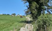 Trail Horseback riding Chainaz-les-Frasses - Lachat circuit court - Photo 5