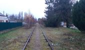 Tocht Noords wandelen Aubigny-sur-Nère - aubigny sur nere - Photo 16