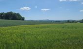 Randonnée Marche Ferrières - palogne - Photo 1