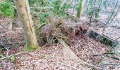 Tour Zu Fuß Waldems - Rundweg Idstein Lauskippel - Nollen - Photo 3