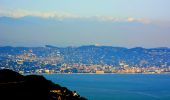 Trail Walking Saint-Raphaël - SityTrail - Pic de Cap Roux et la Grotte de Saint Baume - Photo 14