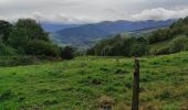 Tour Wandern Urbeis - ,Glasborn Pierres Tremblent es Hohrodberg  - Photo 1