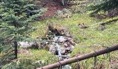 Trail Walking Cornimont - Col du Brabant - croix Louis par Mansuy et Boulaite - Photo 7