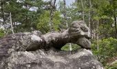 Percorso Camminata nordica Fontainebleau - Âpremont les gorges  - Photo 3