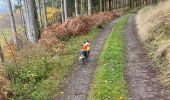 Percorso Equitazione Neufchâteau - Bois de la Fosse - Photo 5