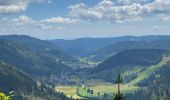 Trail Walking Feldberg - Feldsee & Feldberg Mai 2025 - Photo 10