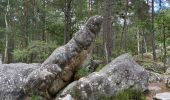 Excursión Marcha nórdica Fontainebleau - Âpremont les gorges  - Photo 4