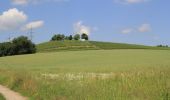 Tour Zu Fuß Alzenau - Schwarzer Keiler, Rundwanderweg Alzenau - Wanderparkplatz Mühlmark - Photo 10