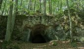 Tour Zu Fuß Neukirchen bei Sulzbach-Rosenberg - Neukirchener Juralandschaftsrundweg - Photo 3