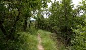 Trail Walking Saint-Julien-en-Quint - Bec Pointu - Les Glovins - St-Julien-en-Quint - Photo 7