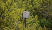 Trail On foot Cassis - FR-5 - Photo 9