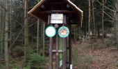 Tour Wandern Rosheim - Tour du Schwartzkopf et Fackenkopf - Photo 3