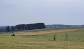 Tour Wandern Libramont-Chevigny - rando laneuville(libramont)18/02/2021 - Photo 3