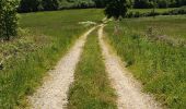 Tocht Stappen Faycelles - Faycelles StEulalie J1+ - Photo 5