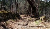 Trail Walking Les Ollières-sur-Eyrieux - la croix du banc - Photo 14