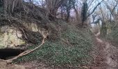 Trail Walking Bassenge - entre Wonck et Eben-Eser - Photo 13