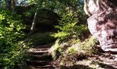 Tocht Stappen Ottersthal - Dans les pas des Celtes et des Romains - Photo 3