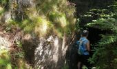Trail Walking Grandfontaine - Positions fortifiées du Donon sentier des casemates - nord - Photo 1