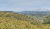 Trail Walking Creissels - Au dessus de Millau - Photo 2