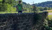 Trail Walking Saint-Basile - Saint-Basile cithare et rubis  - Photo 16