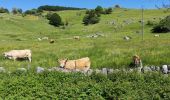 Randonnée Marche Saint-Laurent-de-Muret - la Blatte Aubrac  - Photo 2