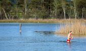 Randonnée A pied Zurich - Seebach - Chatzensee Strandbad - Photo 10