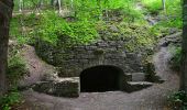 Tour Zu Fuß Unbekannt - Culmberg-Steinkreuz-Jenzig-Fuchsturm-Forsthaus-Papiermühle - Photo 6