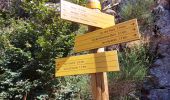 Tour Wandern Arrigas - de Arrigas au Mont saint Guiral - Photo 16