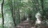 Trail Walking Jalhay - adeps sart 20 km bug - Photo 16