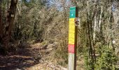 Trail Walking Saint-Julien-en-Vercors - Pas des Voutes-Pas de l'Allier depuis St Julien en Vercors - Photo 6