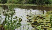Randonnée V.T.C. Sanguinet - Sanguinet - Bords du Lac - Photo 9
