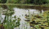 Tocht Hybride fiets Sanguinet - Sanguinet - Bords du Lac - Photo 9