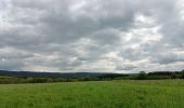 Randonnée Marche Spa - barisart . geronstere . creppe . barisart - Photo 4