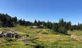 Trail Walking Chamrousse - Chamrousse 20-07-2021 - Photo 9