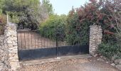 Percorso Marcia Leucate - leucate - la franqui (via le plateau) - phare (via la falaise) - leucate (via le plateau) - Photo 18