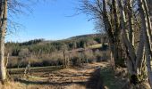 Excursión Senderismo La Roche-en-Ardenne - Un petit tour dans les fagnes de la goutte en partant de Samree  - Photo 14