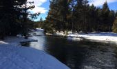 Tour Schneeschuhwandern La Llagonne - Le long du têt  - Photo 7