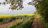 Tour Wandern Gaillon-sur-Montcient - En passant par Dalibray - Photo 7