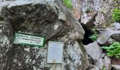 Randonnée Marche Stosswihr - gaschney - grotte d'agobert - Photo 1