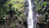 Tour Wandern Sainte-Rose - Cascade Naca - Photo 5