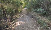 Trail Walking Buoux - PF-Buoux - Sivergues - Le Vallon de l'Aigue Brun - Reco - 01.07.2021 - Photo 2